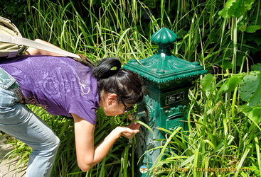 Me checking out the water fountain
